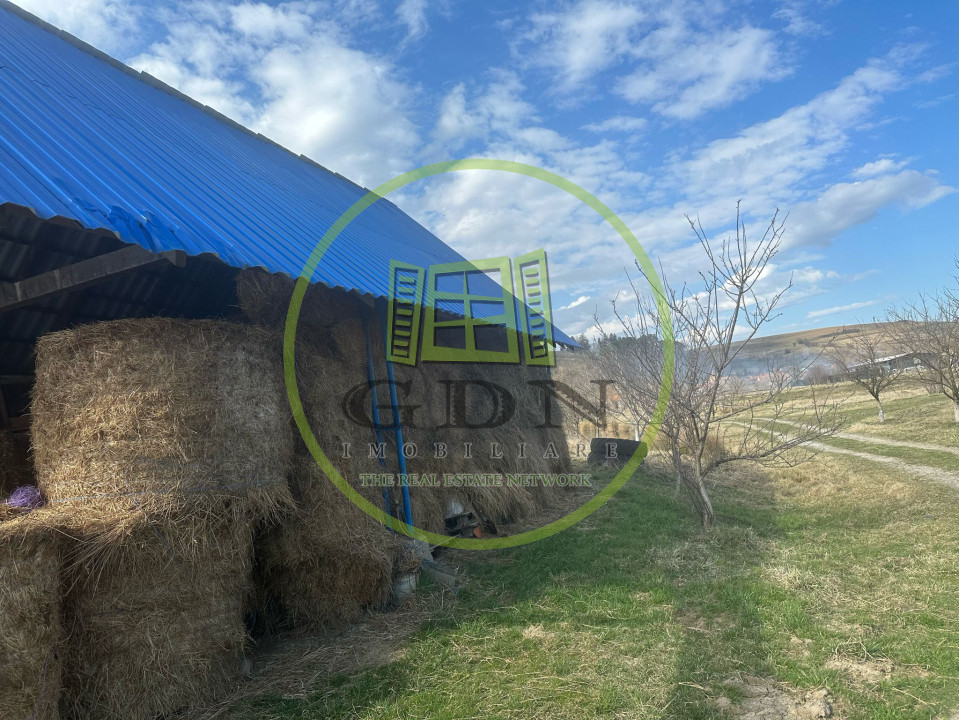 Casa 3 dormitoare, 128mp, 4750mp teren, piscina, cuptor de paine , Casolt