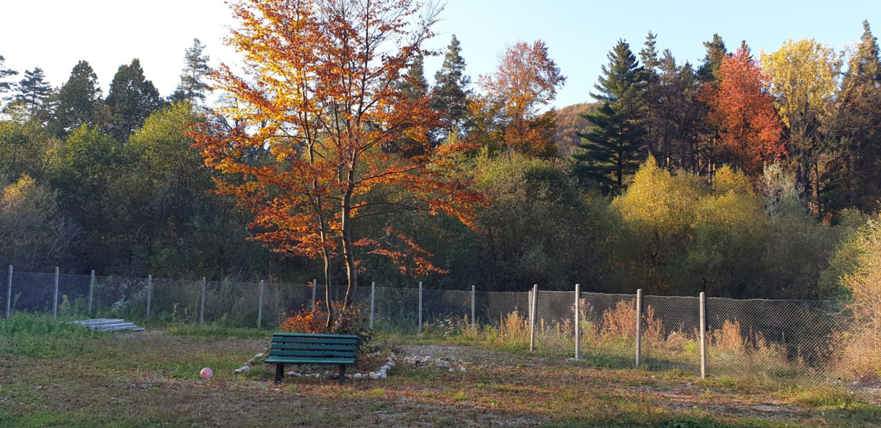 De vanzare CAMPING DARSTE