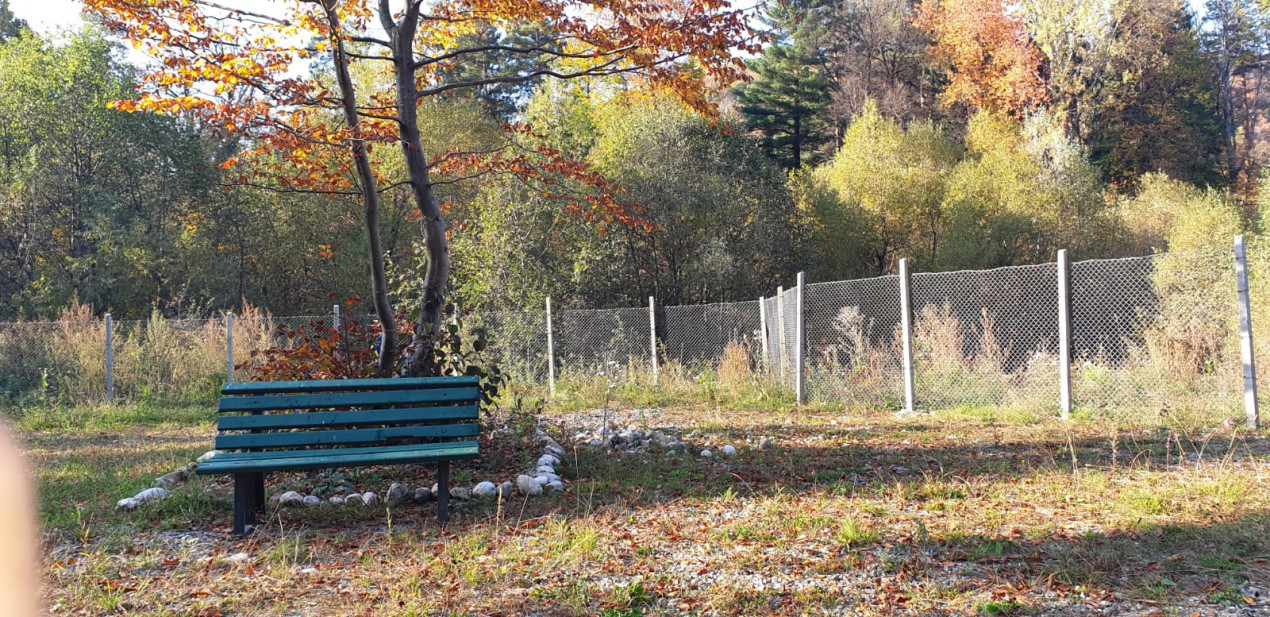 De vanzare CAMPING DARSTE