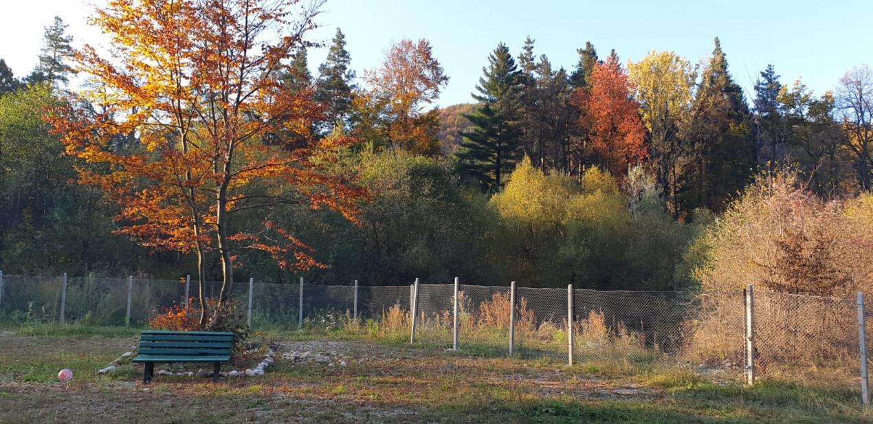 De vanzare CAMPING DARSTE