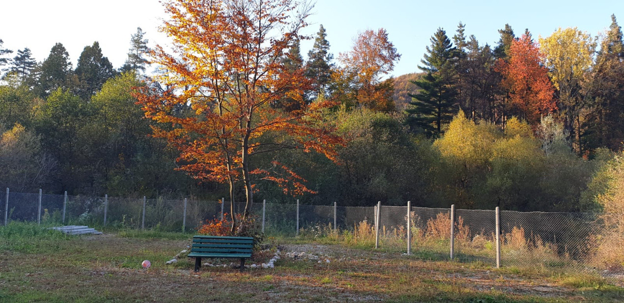 De vanzare CAMPING DARSTE