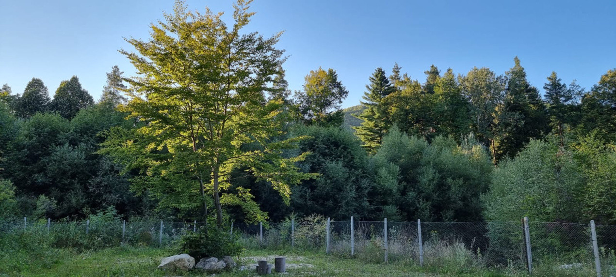 De vanzare CAMPING DARSTE