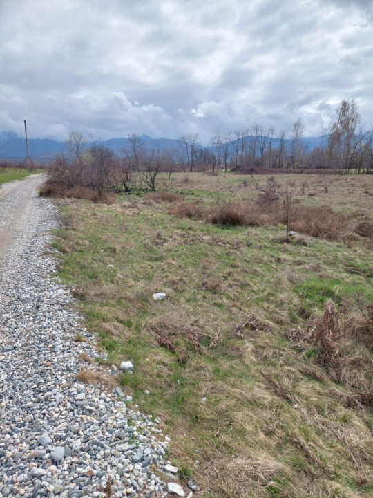 Teren intravilan 586mp, spre vanzare pe Valea Avrigului