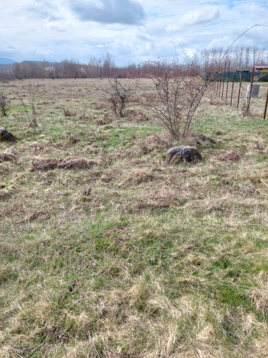 Teren intravilan 586mp, spre vanzare pe Valea Avrigului