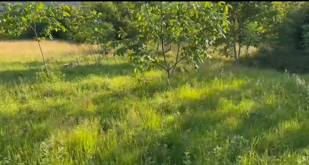 Teren extravilan 554mp, spre vanzare ,Domeniile Orlandea,Sibiel