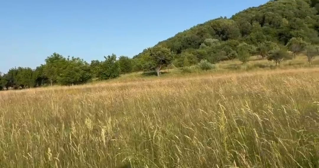 Teren extravilan 554mp, spre vanzare ,Domeniile Orlandea,Sibiel