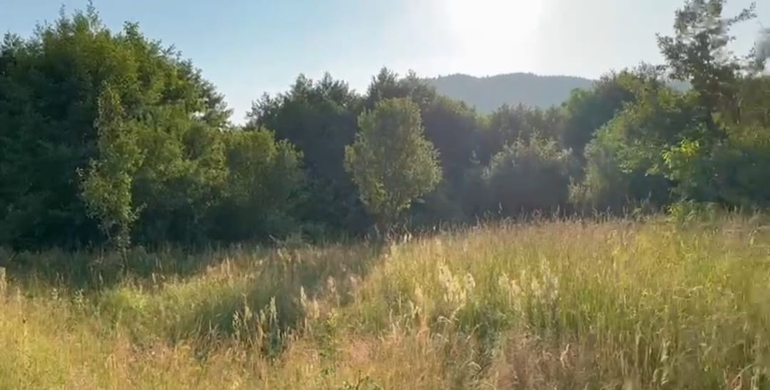 Teren extravilan 554mp, spre vanzare ,Domeniile Orlandea,Sibiel