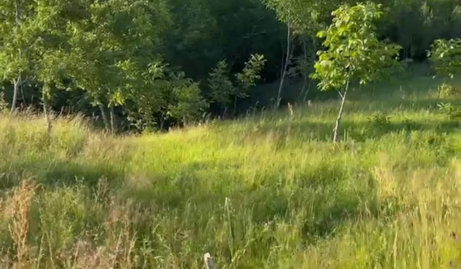 Teren extravilan 2069mp spre vanzare  zona Domeniile Orlandea-Sibiel.