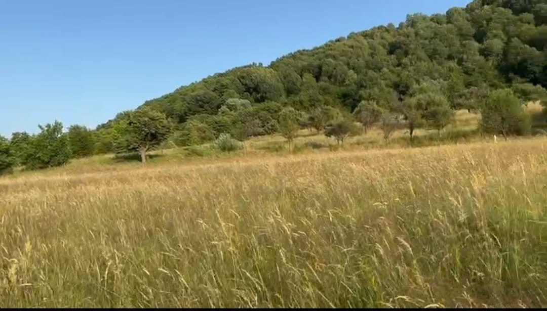 Teren extravilan 2069mp spre vanzare  zona Domeniile Orlandea-Sibiel.