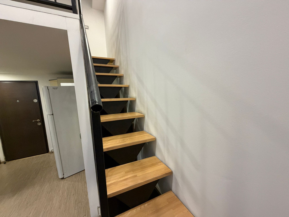 Închiriere apart. deosebit cu 1 cameră, 40 mp., Mănăștur