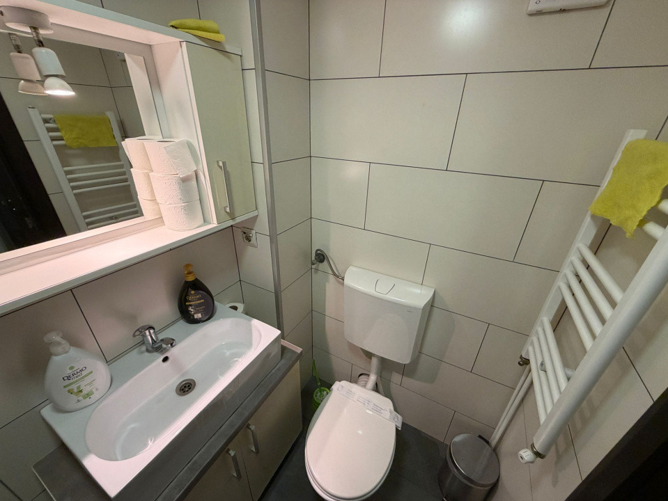 Închiriere apart. deosebit cu 1 cameră, 40 mp., Mănăștur