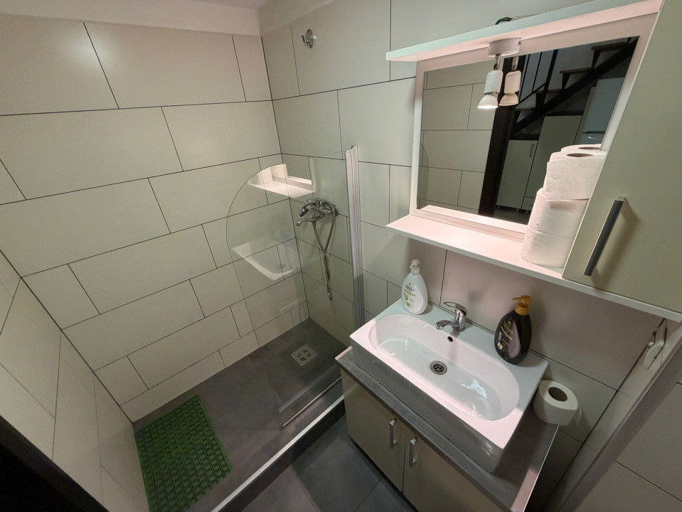 Închiriere apart. deosebit cu 1 cameră, 40 mp., Mănăștur