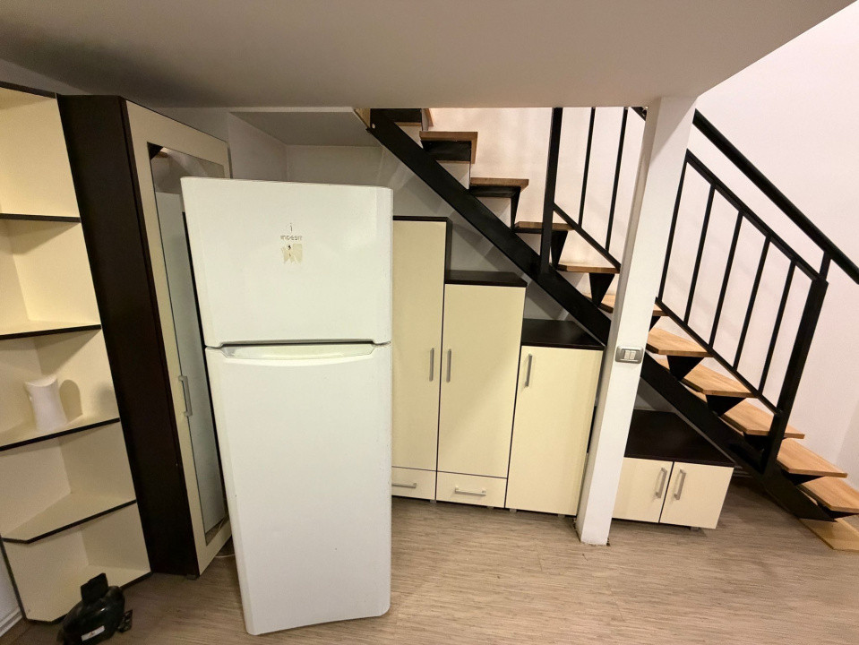 Închiriere apart. deosebit cu 1 cameră, 40 mp., Mănăștur