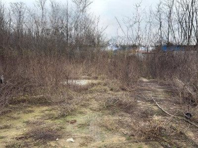 Teren intravilan, 300 MP, comuna Malu Mare, zona Adrilex