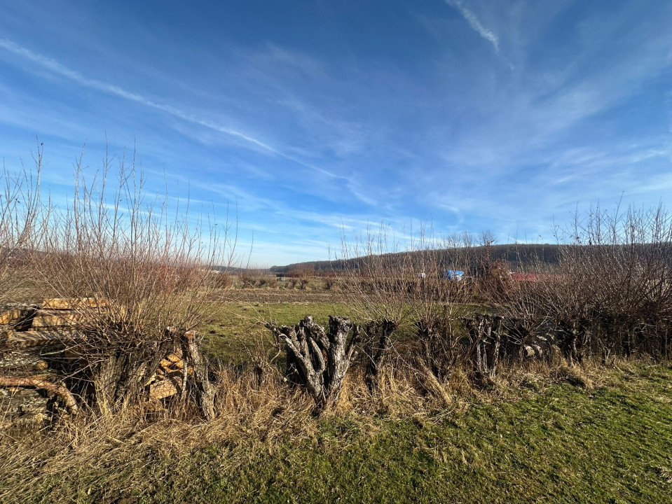 Teren intravilan 1100mp oportunitate spre vanzare in Rasinari