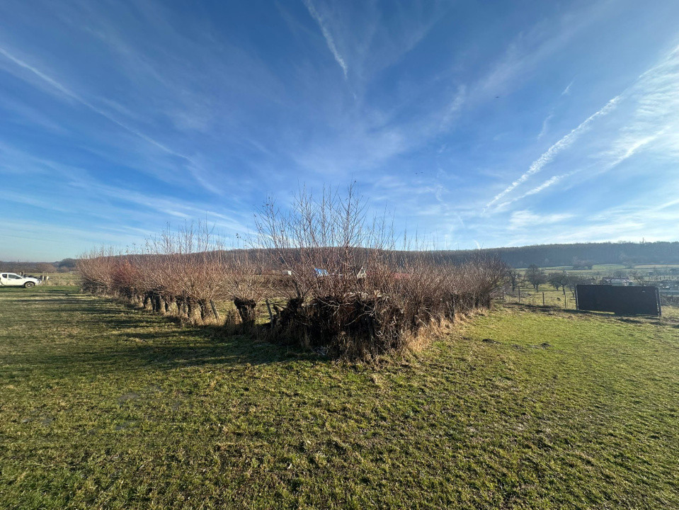 Teren intravilan 1100mp oportunitate spre vanzare in Rasinari