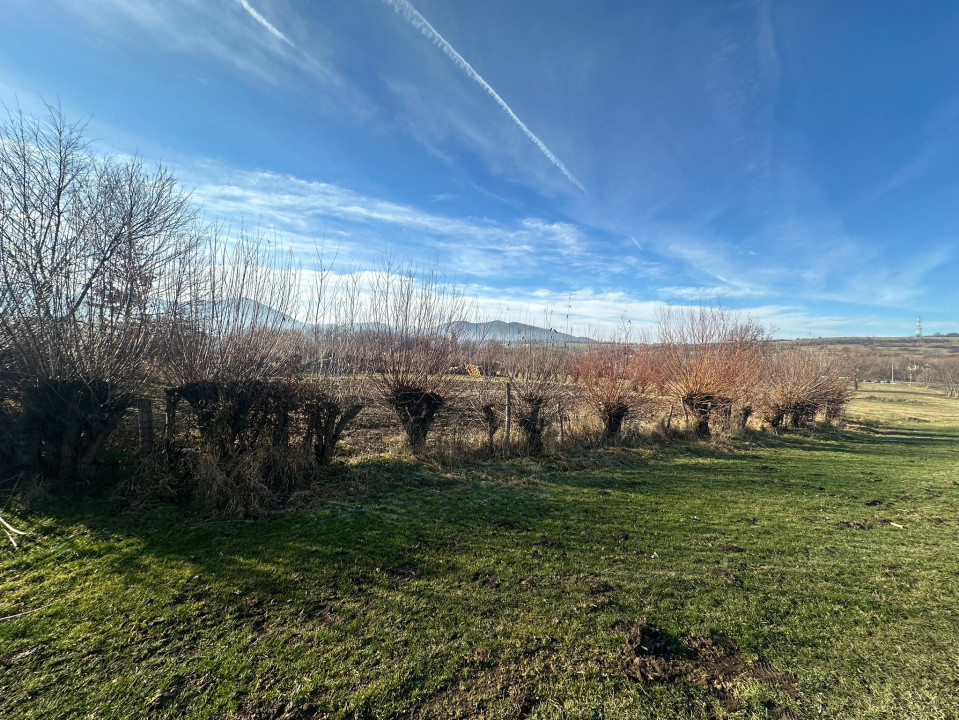 Teren intravilan 1100mp oportunitate spre vanzare in Rasinari