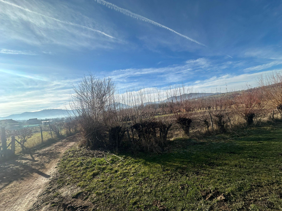 Teren intravilan 1100mp oportunitate spre vanzare in Rasinari