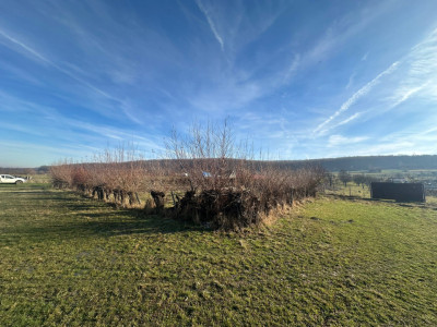 Teren intravilan 1100mp oportunitate spre vanzare in Rasinari