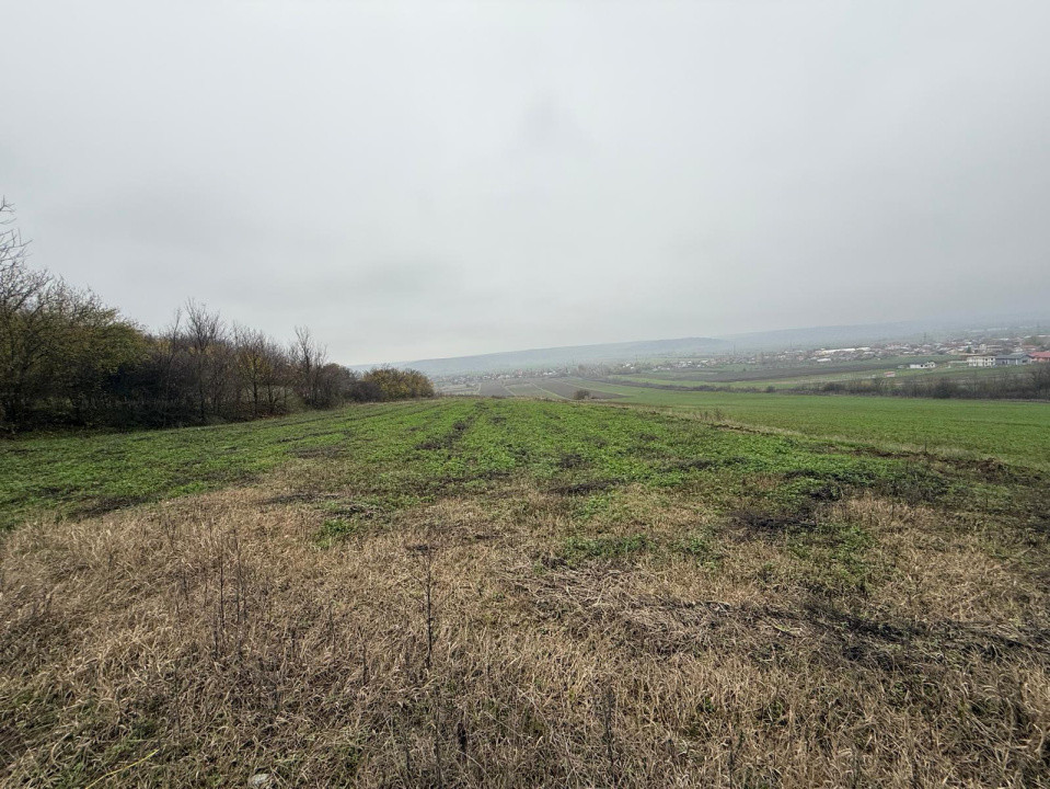 Teren intravilan 1000 mp + teren extravilan 1200 mp, comuna Simnicu de Sus