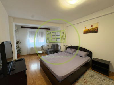 Garsoniera, 40 mp, Cartier Brazda lui Novac