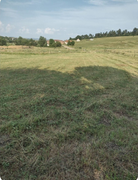 Teren extravilan 2000 mp,spre vanzare- Rusciori-5km  -Autostrada
