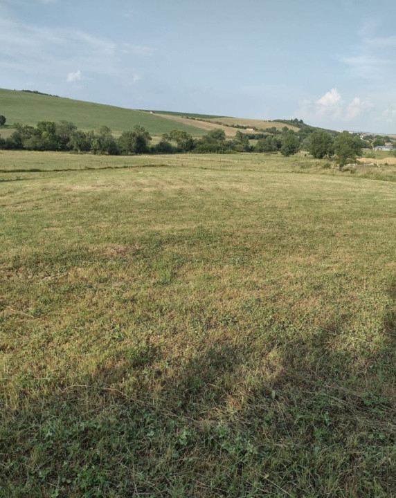Teren extravilan 2000 mp,spre vanzare- Rusciori-5km  -Autostrada