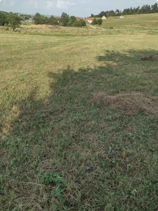 Teren extravilan 2000 mp,spre vanzare- Rusciori-5km  -Autostrada