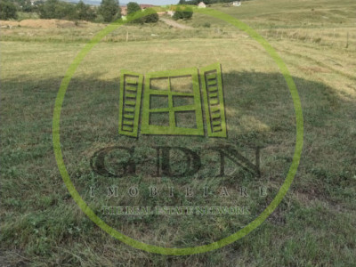 Teren extravilan 2000 mp,spre vanzare- Rusciori-5km  -Autostrada