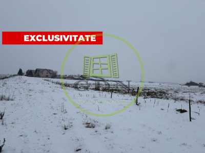 Teren extravilan  3150 mp + 800 mp sunt intravilan-  Valea Avrigului