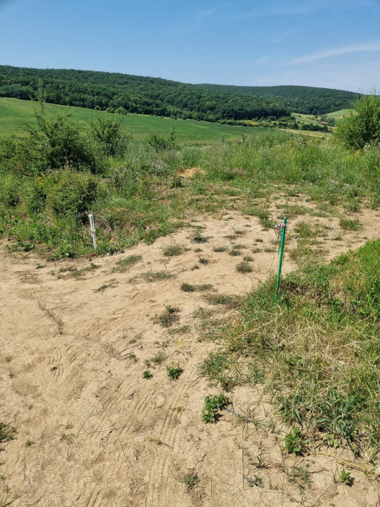 REPREZENATRE EXCLUSIVĂ! Teren intravilan construcții, zonă superbă, Livezeni. 