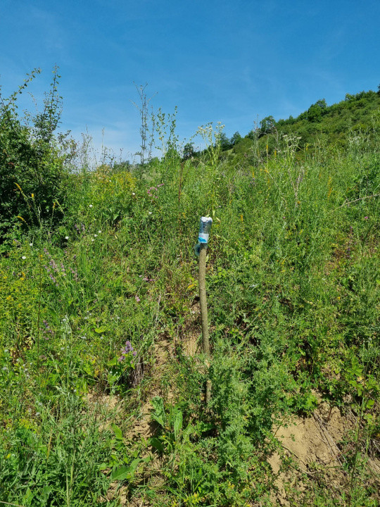 REPREZENATRE EXCLUSIVĂ! Teren intravilan construcții, zonă superbă, Livezeni. 