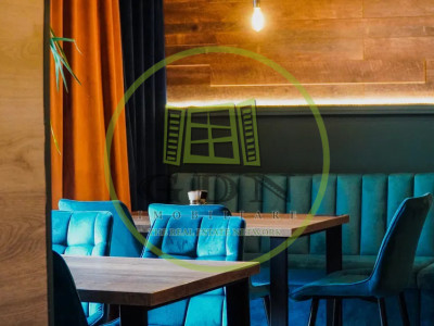 Preluare afacere domeniul horeca 