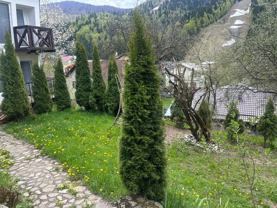 Casa de vanzare 6 camere, 4 dormitoare, 2 bai, localitatea Azuga 