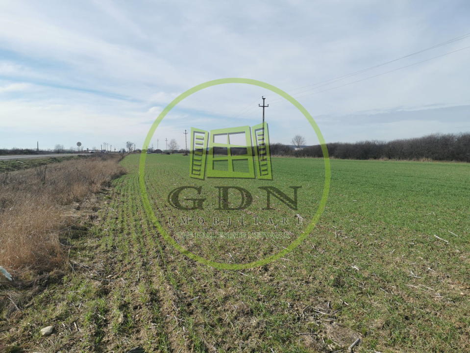 Teren extravilan de vanzare in Sacadat, 21.496 mp, cu deschidere de 42 m la E60.