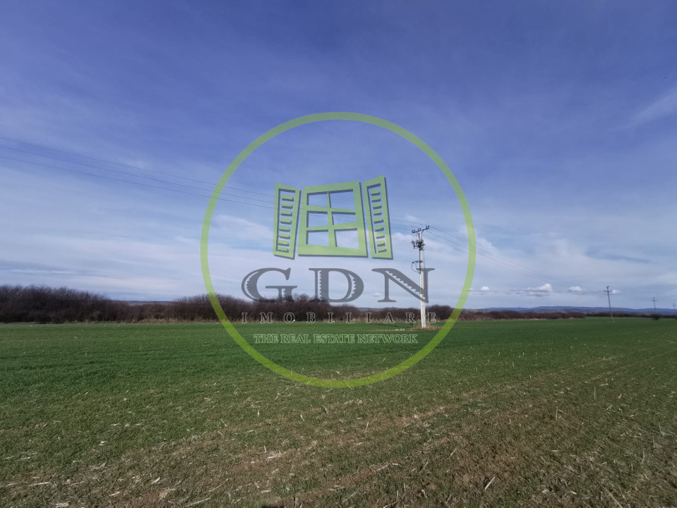 Teren extravilan de vanzare in Sacadat, 21.496 mp, cu deschidere de 42 m la E60.