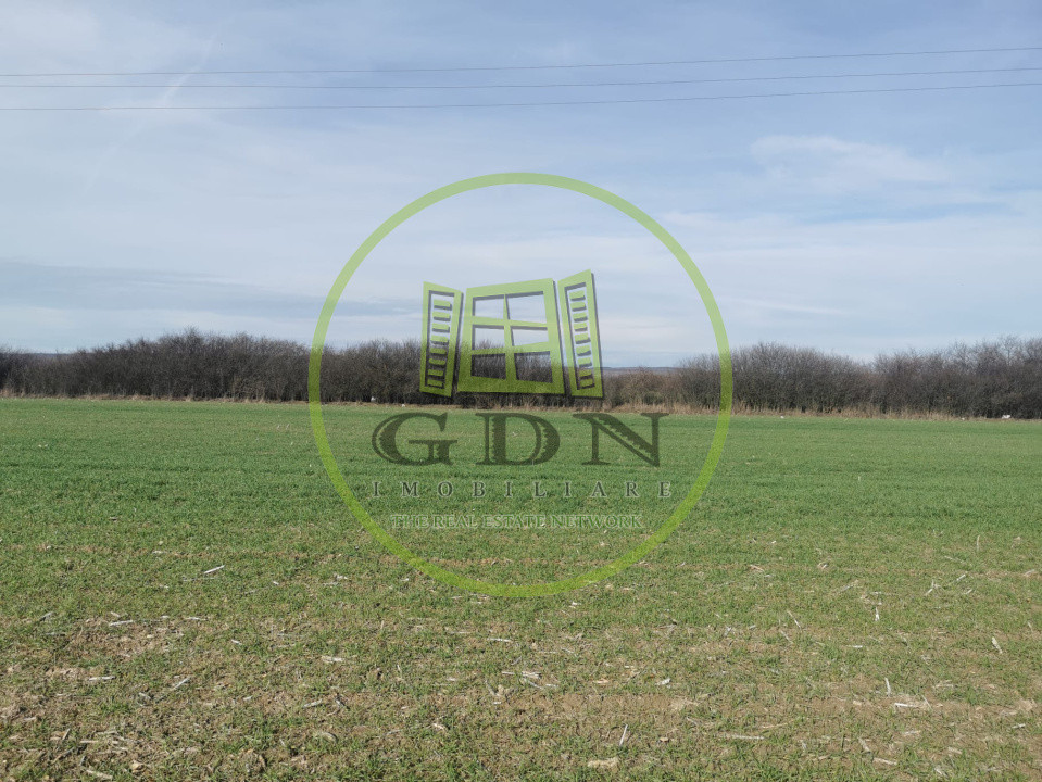 Teren extravilan de vanzare in Sacadat, 21.496 mp, cu deschidere de 42 m la E60.
