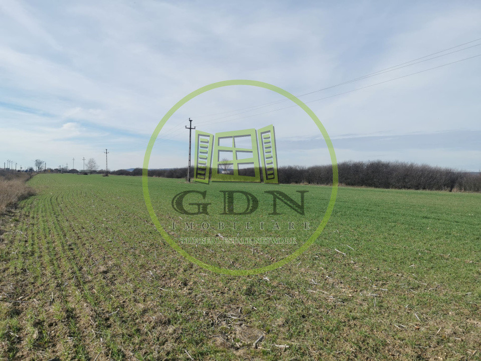 Teren extravilan de vanzare in Sacadat, 21.496 mp, cu deschidere de 42 m la E60.