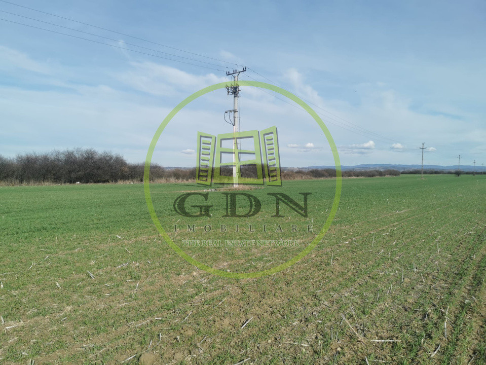 Teren extravilan de vanzare in Sacadat, 21.496 mp, cu deschidere de 42 m la E60.