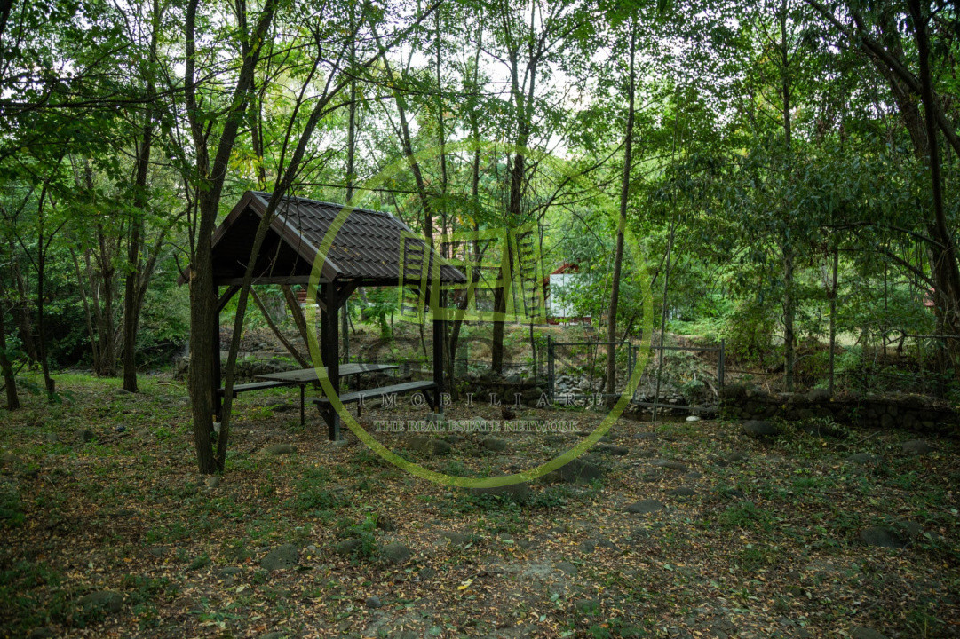 Cabană de vânzare Bistra Mureșului 