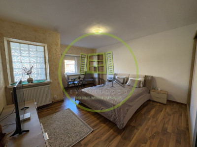 Garsoniera, 45 mp, decomandata, Cartier Rovine, Zona Garii