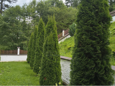 Penthouse cu vedere spectaculoasă către Masivul Bucegi | Predeal –