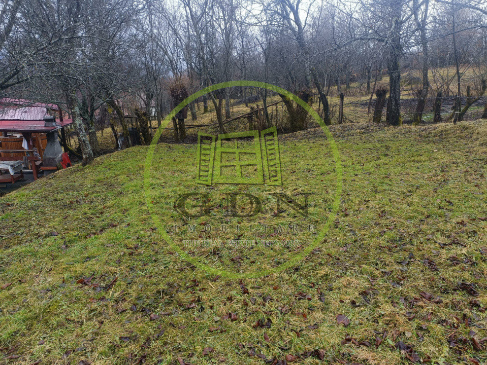 Cabană de vânzare Bistra-Mureșului 