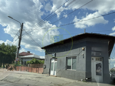 Casa plan parter, 379 mp, 150 mp utili, Brestei
