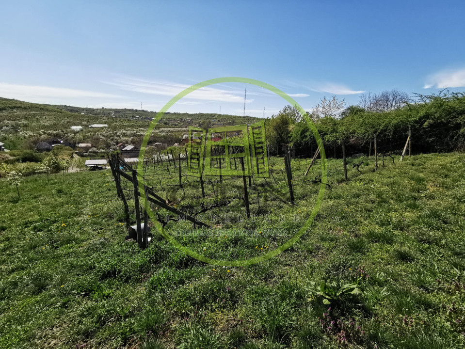 Teren intravilan si extravilan cu anexa gospodareasca amenajata, cu utilitati