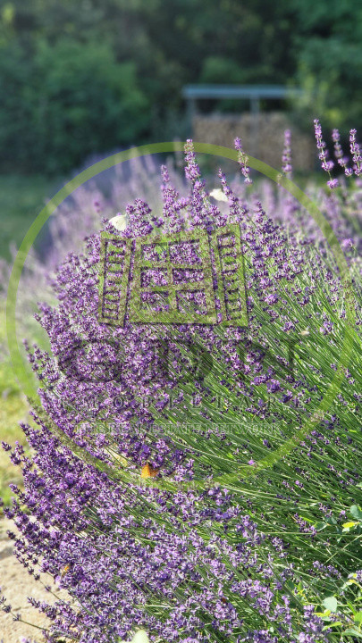 Casa individuala frumoasă aproape de Cluj!