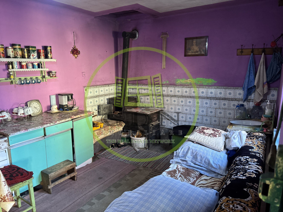 Casa saseasca + 3000mp teren  sat Nou