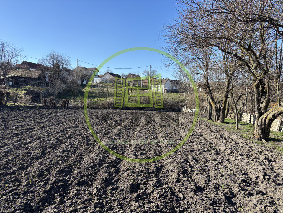 Casa saseasca + 3000mp teren  sat Nou