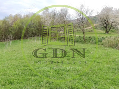  De vânzare 2 loturi a câte 1.750 mp – Zonă turistică Sibiel