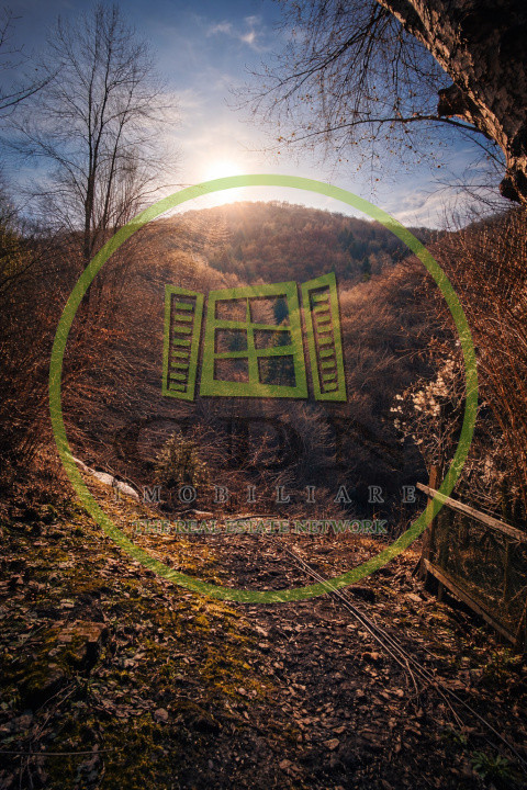 Pădure de vânzare în Scheii Brașovului 2 hectare de natură Brașov Schei